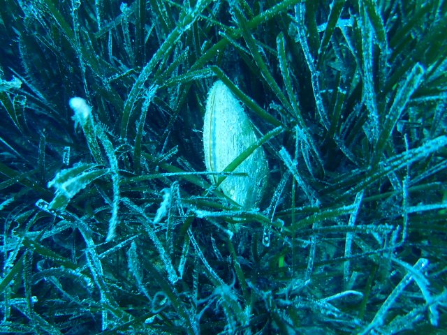 foto 31.05.19 20 58 08